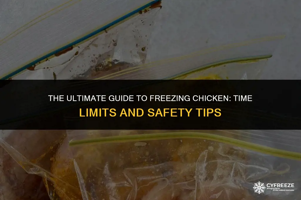 how logng can chicken freeze for