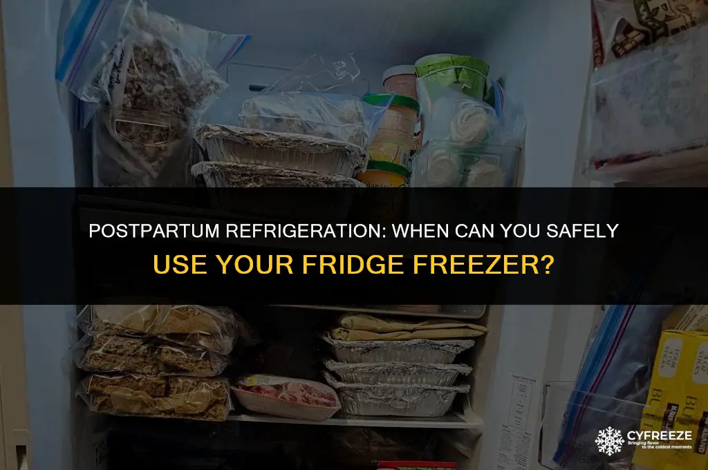 how long after delivery can you use a fridge freezer