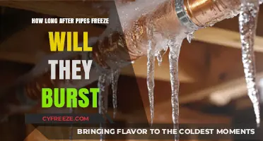 The Ticking Time Bomb: When Frozen Pipes Decide to Burst