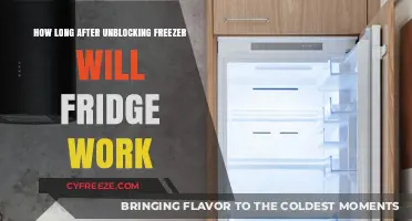 Reviving Your Frozen Companion: A Guide to Post-Unblock Fridge Functionality