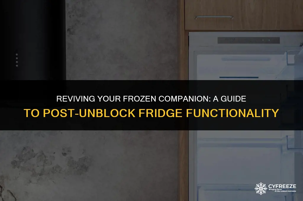how long after unblocking freezer will fridge work