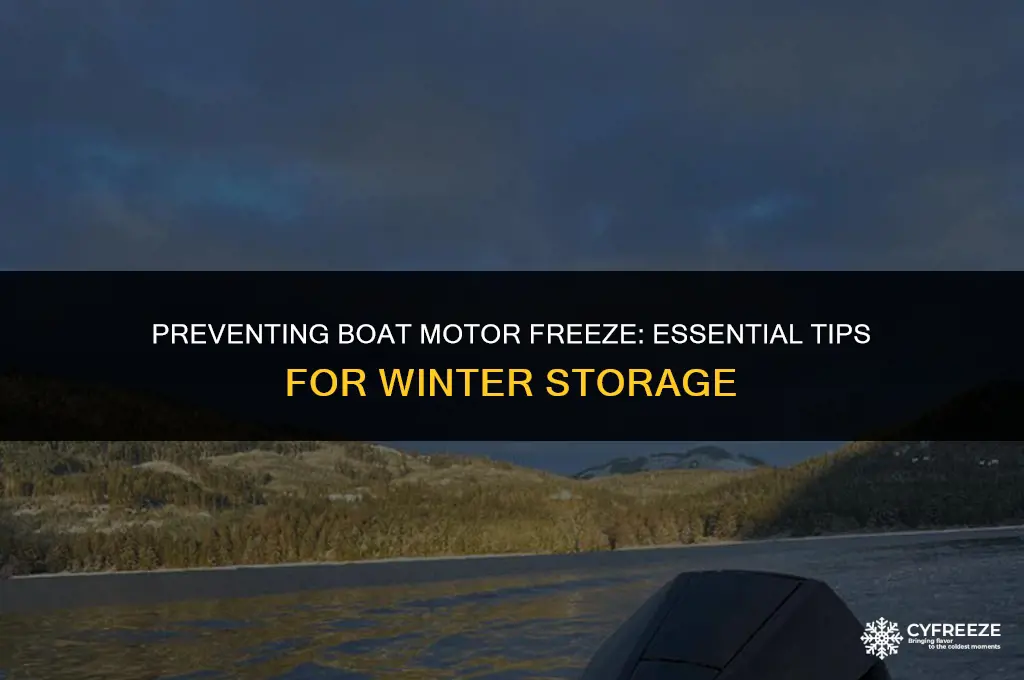 how long before a boat motor will freeze