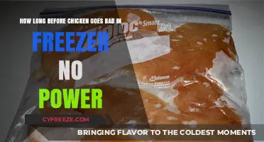 Preserving Poultry: How Long Does Chicken Last in a Freezer Without Power?