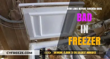 From Freezer to Feast: The Ultimate Guide to Chicken Storage