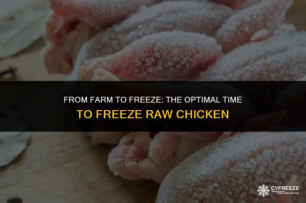 how long before freezing raw chicken