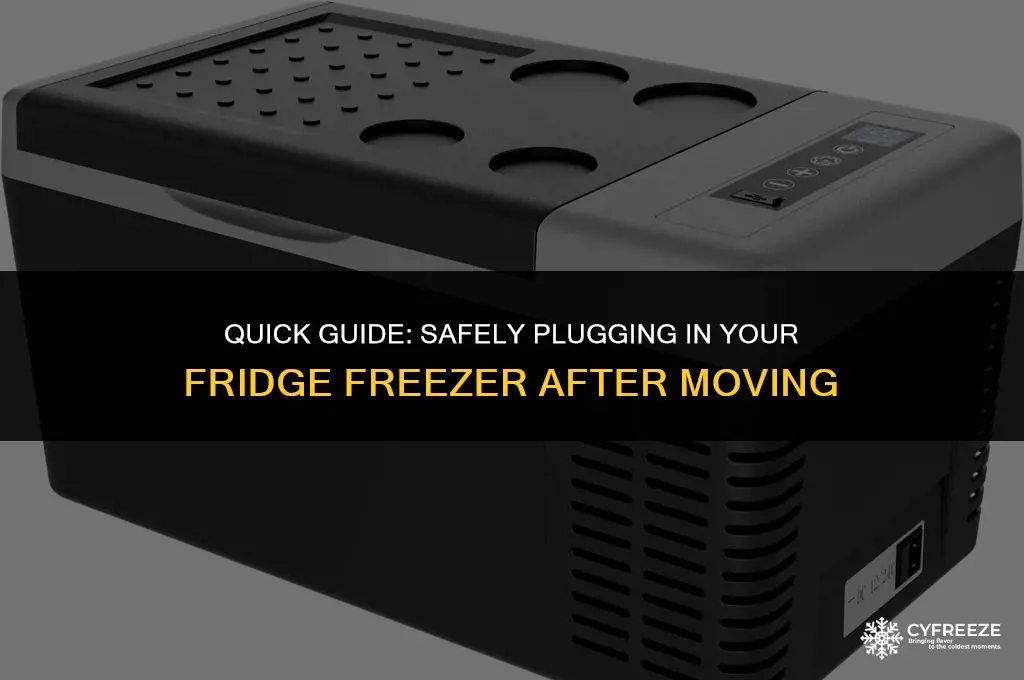 how long before i can plug my fridge freezer in