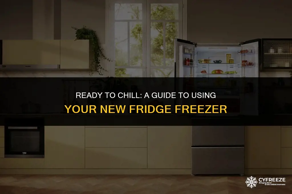 how long before i can use my new fridge freezer