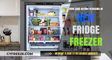 Ready to Chill: The Optimal Time to Plug in Your New Fridge Freezer