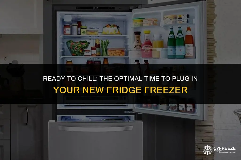 how long before plugging in new fridge freezer