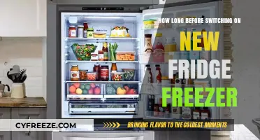 Optimal Timing: When to Power Up Your New Fridge Freezer