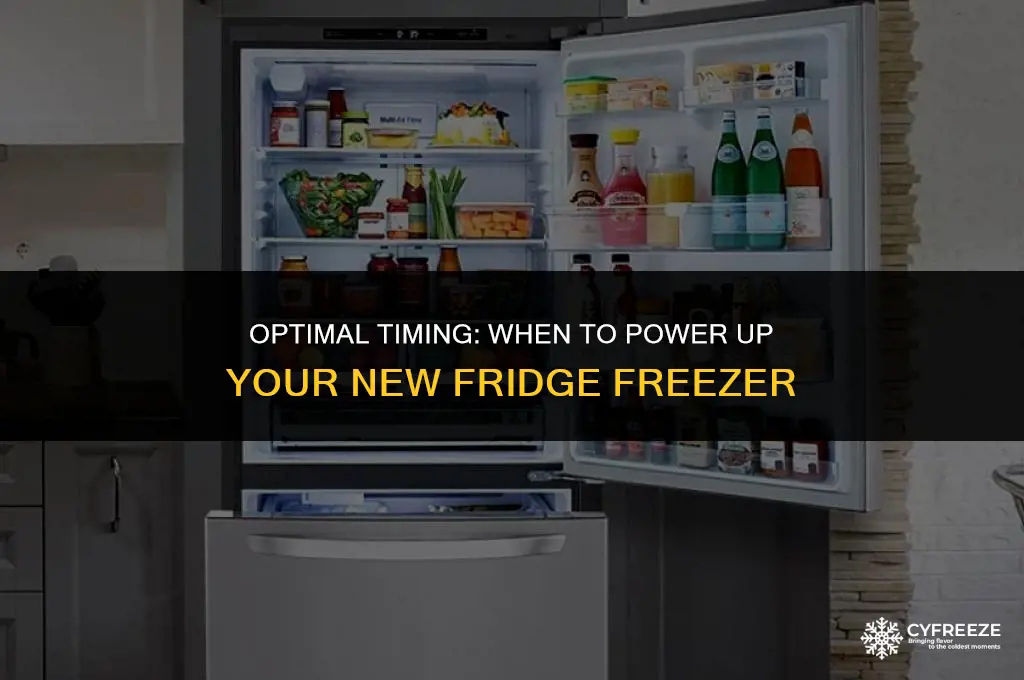 how long before switching on new fridge freezer