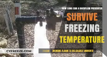 Surviving Winter: Backflow Preventer Lifespan in Freezing Conditions Explained