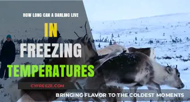 Darling's Survival Guide: Freezing Temperatures and Lifespan Explained
