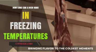 Deer Hanging in Freezing Temps: Optimal Time for Quality Meat