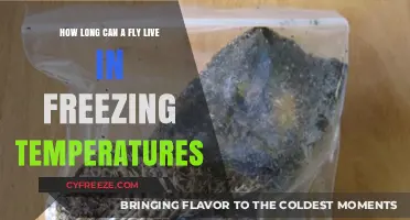 Surviving the Cold: Fly Lifespan in Freezing Temperatures Explained