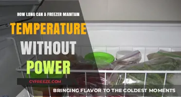 How Long Can a Freezer Keep Food Safe Without Power?