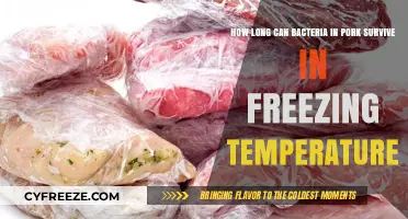Freezing Pork: How Long Do Bacteria Survive in Cold Storage?