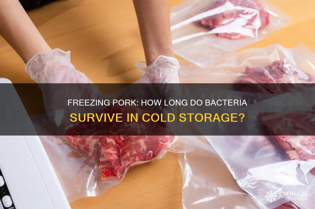 how long can bacteria in pork survive in freezing temperature