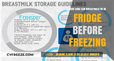 Storing Breast Milk: Refrigeration vs. Freezing Guidelines
