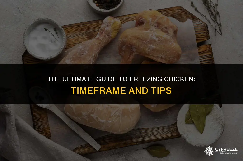 how long can can you freeze chicken