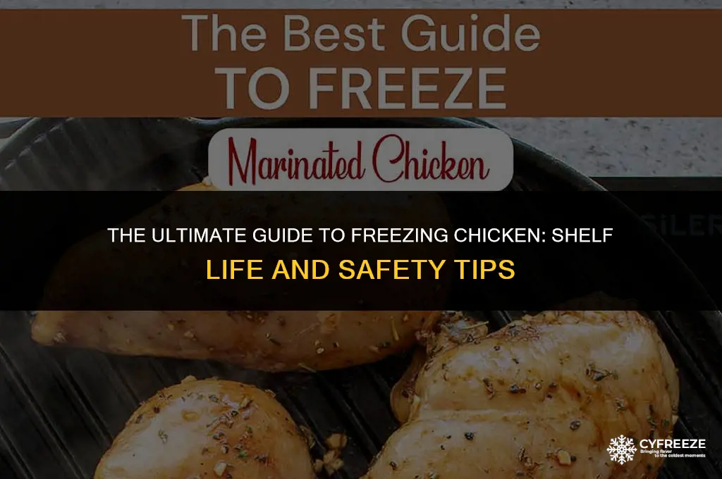 how long can chicken be frozen in the freezer