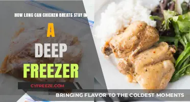 Deep Freeze Delight: The Ultimate Guide to Chicken Breast Storage