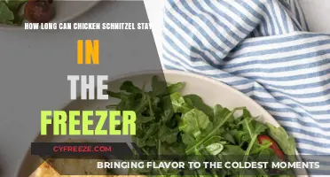 Maximizing Freshness: The Ultimate Guide to Freezing Chicken Schnitzel