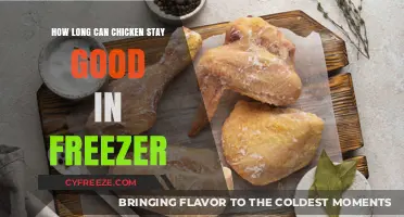 Freshness Preserved: The Ultimate Guide to Freezing Chicken