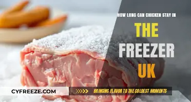 Safe Storage: The Ultimate Guide to Freezing Chicken in the UK