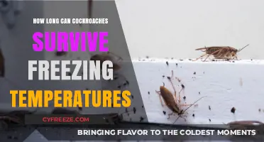 Cockroach Survival Guide: Freezing Temperatures and Their Resilience
