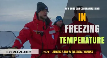 Coronavirus Survival in Freezing Temps: How Long Does It Last?