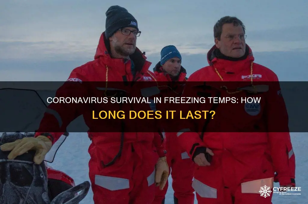 how long can coronavirus live in freezing temperatures