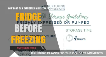 Freshly Expressed Milk: Refrigeration Guidelines Before Freezing