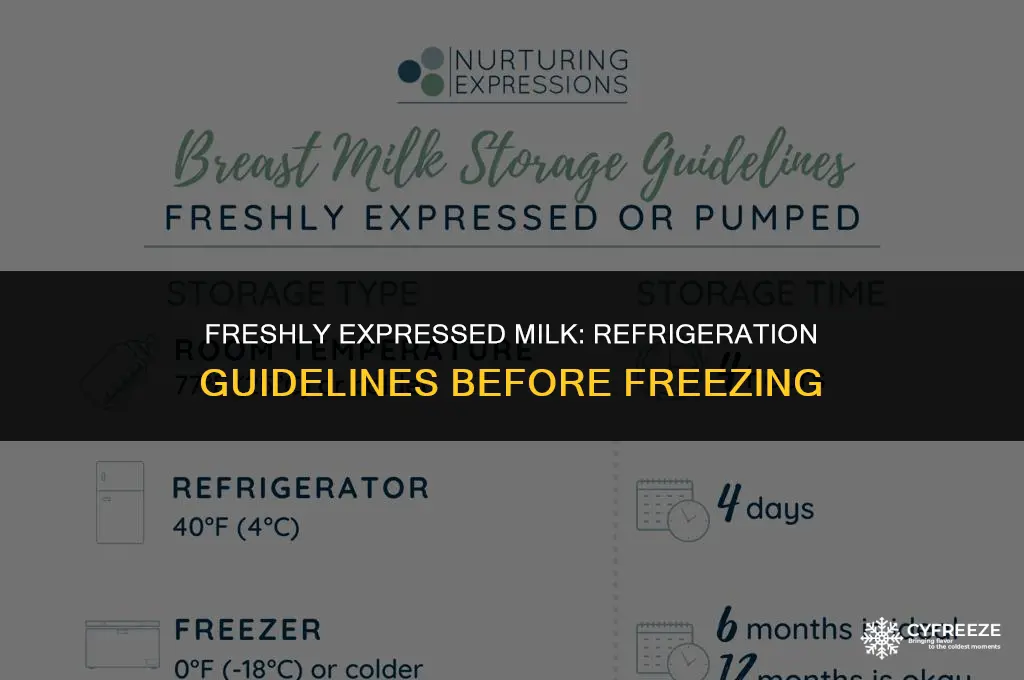 how long can expressed milk stay in fridge before freezing