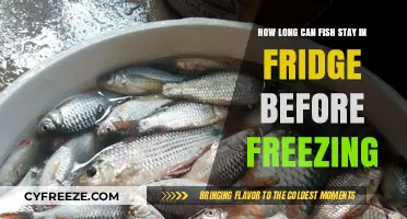 Fresh to Frozen: The Ultimate Guide to Storing Fish Safely