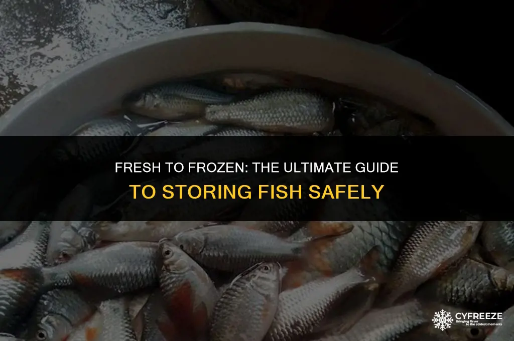 how long can fish stay in fridge before freezing