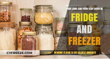 Freshness Uncovered: Your Guide to Food Storage Lifespan