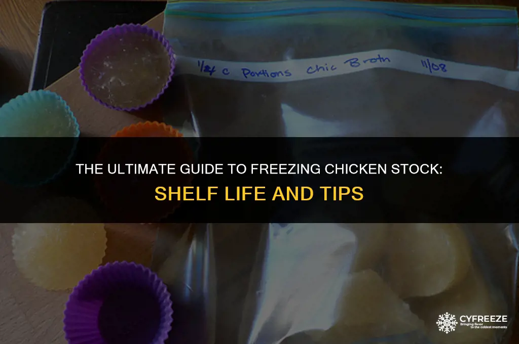 how long can freeze chicken stock