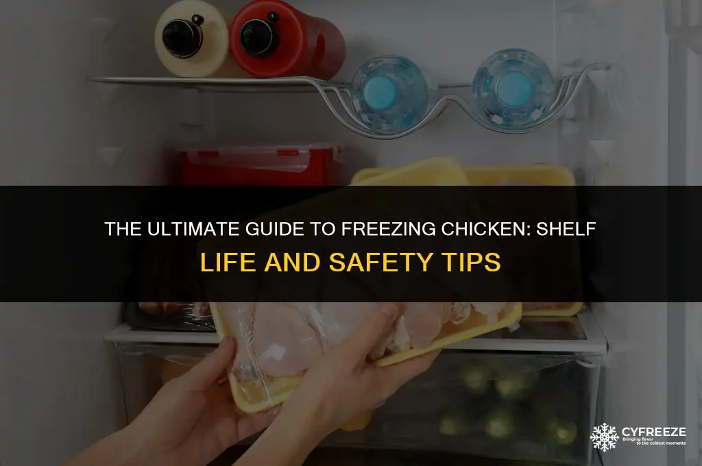 how long can frozwen chicken stay in freezer