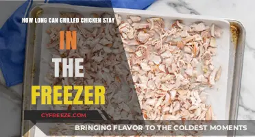 Savoring Safely: The Ultimate Guide to Freezing Grilled Chicken