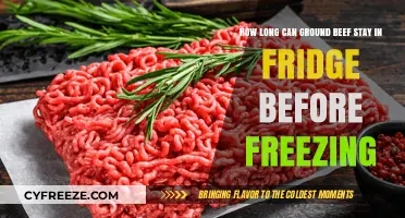 Fresh to Frozen: Ground Beef's Refrigeration Lifespan Explained