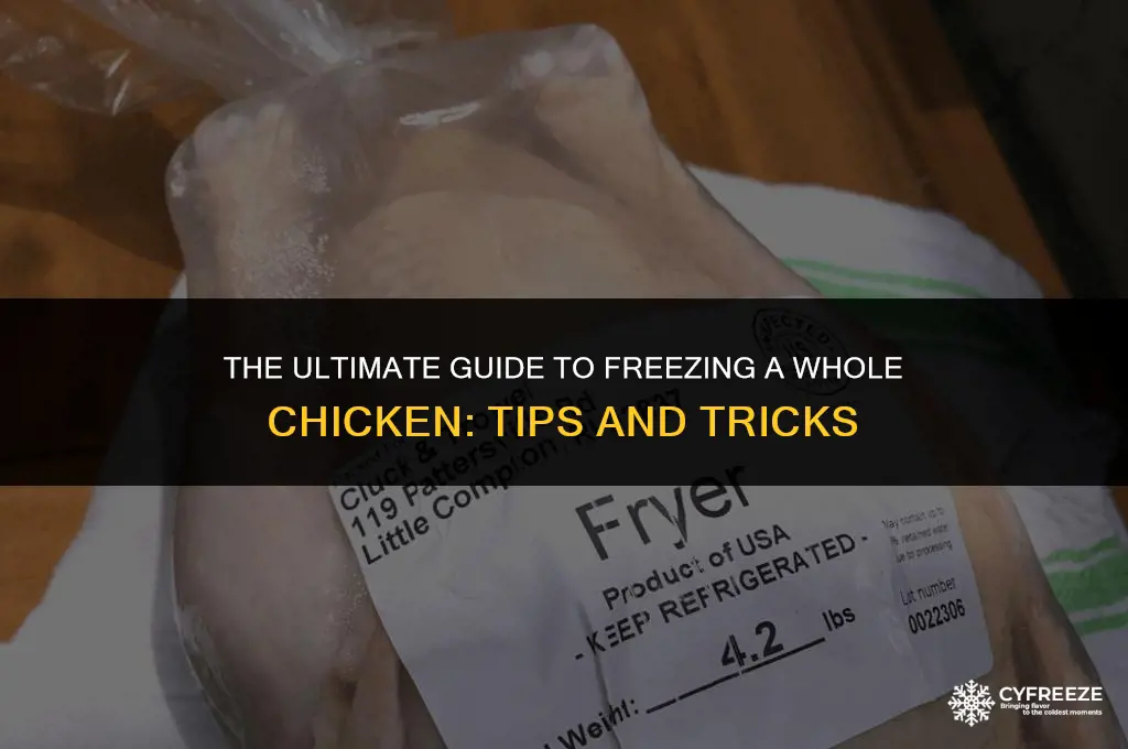 how long can i freeze a whoke chicken