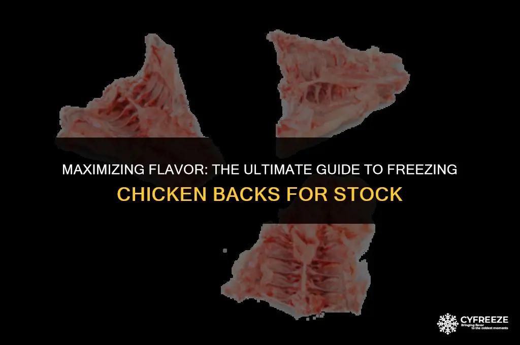 how long can i freeze chicken backs for stock