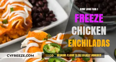 Maximizing Freshness: The Ultimate Guide to Freezing Chicken Enchiladas