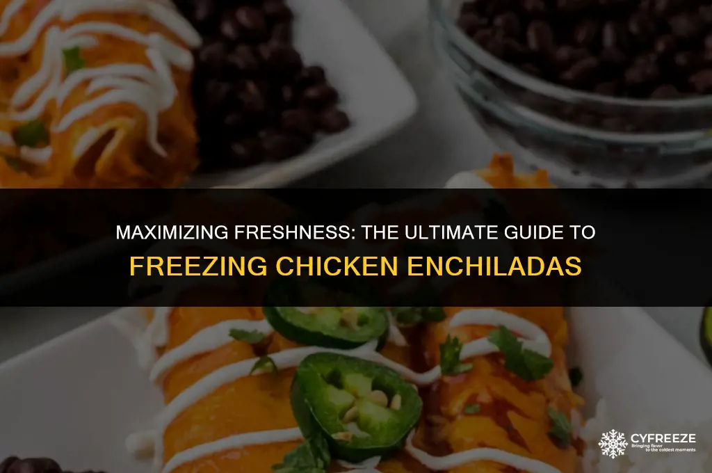 how long can i freeze chicken enchiladas
