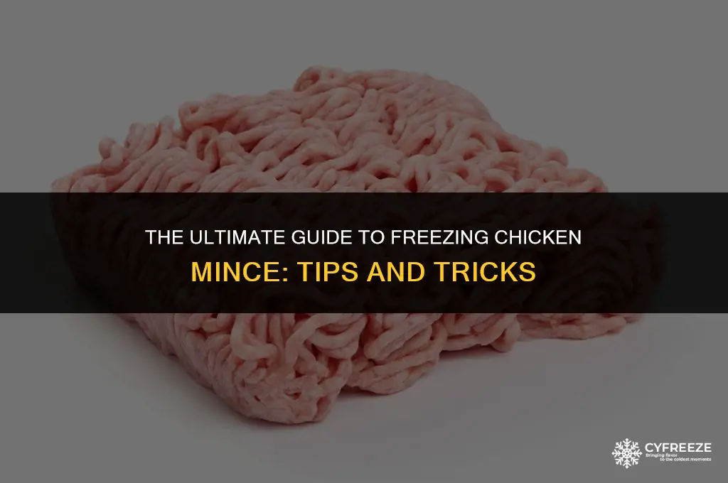 how long can i freeze chicken mince