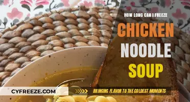 Savor the Flavor: Optimal Freezing Tips for Chicken Noodle Soup