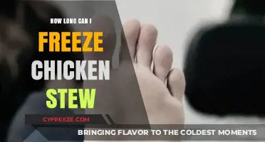 Savor the Flavor: A Guide to Freezing Chicken Stew