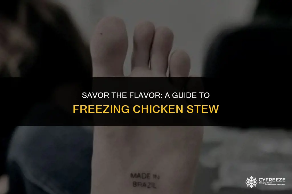 how long can i freeze chicken stew