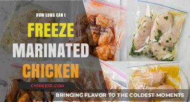 Maximizing Freshness: The Ultimate Guide to Freezing Marinated Chicken